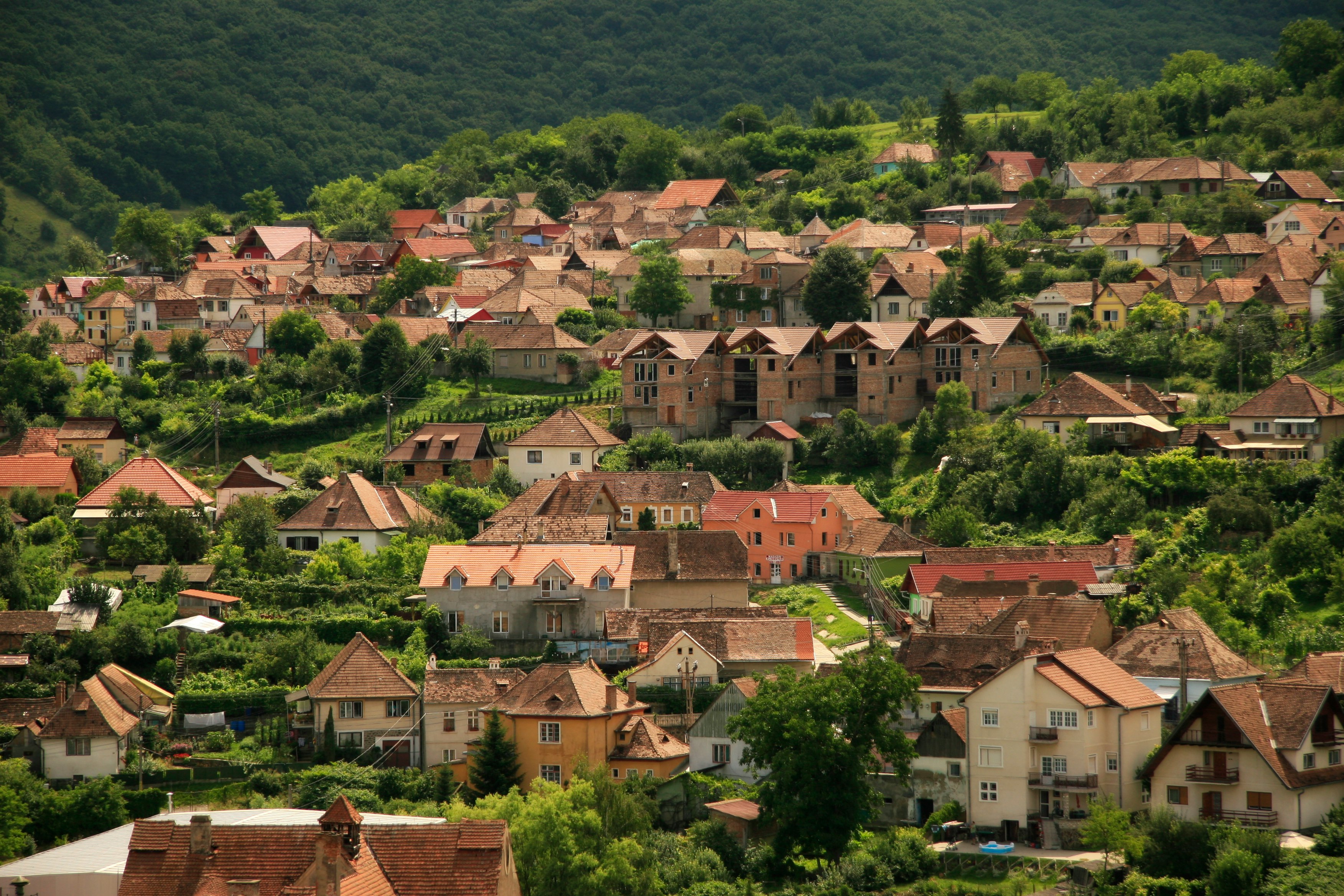 brown concrete houses